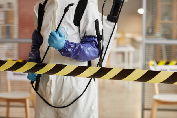 Professional Biohazard technician working in Bergheim, TX